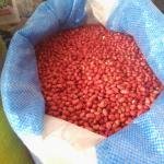 Raw peanuts binyebwa by mpeke