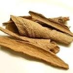 Cinnamon/Mudalasini smaller